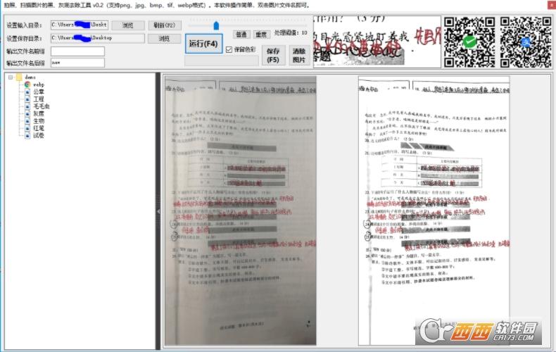 图片,漂白,处理.